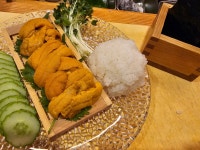 도모다찌
