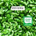 다압매실원