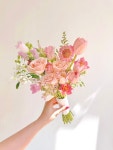 한나비플뢰르드로즈 | 플레르로즈