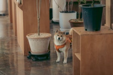 주식회사 노노워리 | 노노샵