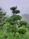 법인대지축산농원 - 수성구 달구벌대로 3245 | 저산농원