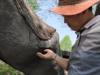 나무식물조경병원유한회사 | 나무식물조경병원