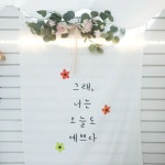 이유있는디이어트하상점 | 이유있는 다이어트 더 봄날