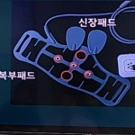 이유있는디이어트하상점 | 이유있는 다이어트 더 봄날