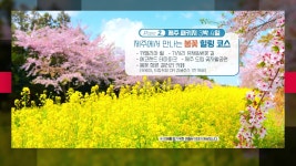 제주북여행사 | 빛나는제주여행사