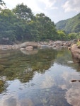 로뎀나무효천점 | 로뎀나무