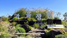 제주북여행사 | 빛나는제주여행사