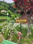 플로라카페