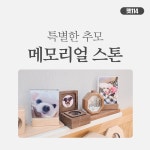 보람홈펫션 | 펫114