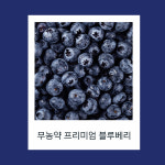 지구별블루베리팜 | 마운틴블루베리팜