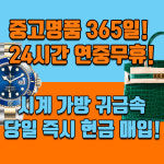 광명중고명품출장매입판다럭스 | 광주중고명품시계가방 출장매입 판다럭스