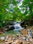 동학산장식당자판기 | 동학식당
