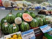 추씨네청과