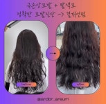 박진숙헤어겔러리 | 김진숙헤어