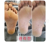 도도걸스네일 | 도도네일