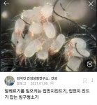 세탁풍경24시셀프빨래방범물점 | 세탁풍경24시셀프뻘래방 범물점
