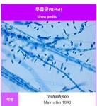 24시빨래방세탁풍경소사본동점 | 세탁풍경24시셀프뻘래방 범물점
