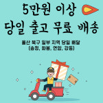 체리베이프x울산전담 | 베이프독 울산북구점