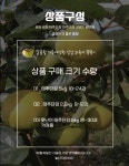 주왕산대박농원 | 대박이농원