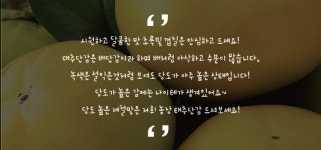 주왕산대박농원 | 대박이농원
