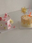 디오알케이크(DORCAKE) | 디오알 케이크