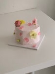 디오알케이크(DORCAKE) | 디오알 케이크
