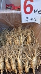 대구우경인삼사