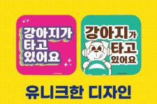 빅베어인터내셔널
