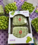 새콤달콤한농원