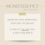 몬스터펫샵안성맞춤점 | 몬스터펫 파충류 샵