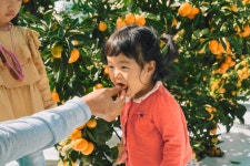 주연이네감귤밭 | 제주로운감귤밭