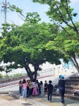 청아미학연구소