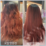 큐사랑오천용덕점 | 큐사랑 오천문덕점