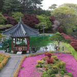 베어트리조경디자인