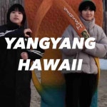 하와이새우트럭 속초중앙시장점