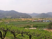 청수양어농원 | 청수농원
