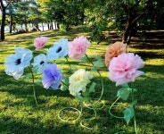 현(Hyun)아로마 공방 | 민아로마공방