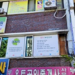 들꽃에이는향기처럼 | 들꽃처럼