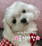뚱스네일&힐링샵 | 힐링네일