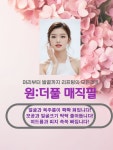 인셀덤원더풀홀릭2 | 원더풀팩 전문체험샵 본사대표지사