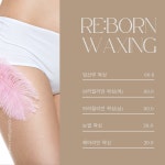 리본왁싱(rebornwaxing) | 리본왁싱 경산점