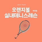 오렌지볼 실내테니스장 역곡점