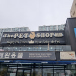 해피애견타운강아지고양이&현살롱드펫북구 | 해피애견타운 강아지고양이 포항점&현살롱드펫 북구