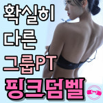 스튜디오남아령 | 핑크덤벨