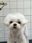 반자주명지국제 | 반자주 명지국제신도시점
