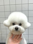 반자주명지국제 | 반자주 명지국제신도시점
