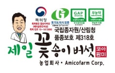 비에이치팜(BH-Pharm) | 아미코팜