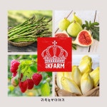 케이리치팜 | 거제케이팜