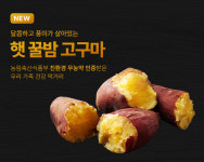 수신진영멜론농원 | 수신멜론보라농원