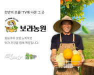 수신멜론보라농원
